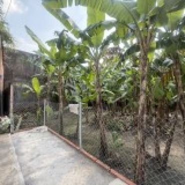 Hình ảnh Bán đất thửa 704 tờ 66 Tiền Lân 19C Xã Bà Điểm Tp Hồ Chí Minh