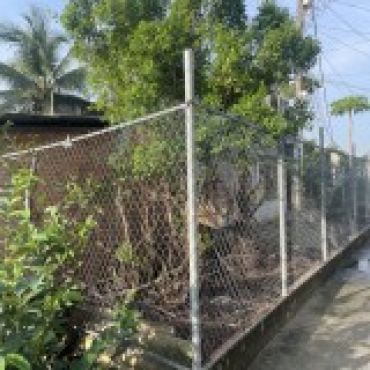 Hình ảnh Bán đất thửa 1101 tờ 7 Ấp 4 Đinh Đức Thiện (Thửa 1115 + Xã Tân Mỹ Tp Hồ Chí Minh
