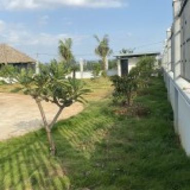 Hình ảnh Bán đất thửa 862 tờ 62 862 Tờ 62 Phường Tăng Nhơn Phú Tp Hồ Chí Minh