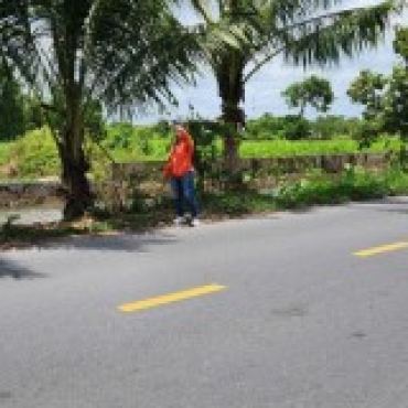 Hình ảnh Bán đất thửa 25 tờ 19 Thửa 25 Tờ 19 Xã Bình Mỹ Tp Hồ Chí Minh