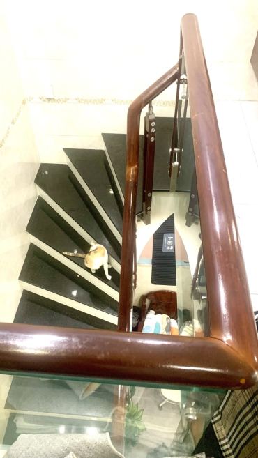 Hình ảnh Bán đất thửa 762 tờ 21 102 Nguyễn Trung Nguyệt Phường Bình Trưng Tp Hồ Chí Minh