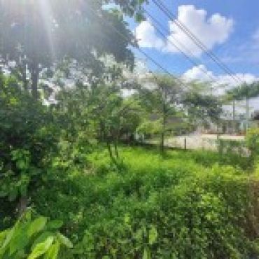 Hình ảnh Bán đất thửa 588 tờ 1 Tỉnh lộ 8 Xã Bình Mỹ Tp Hồ Chí Minh