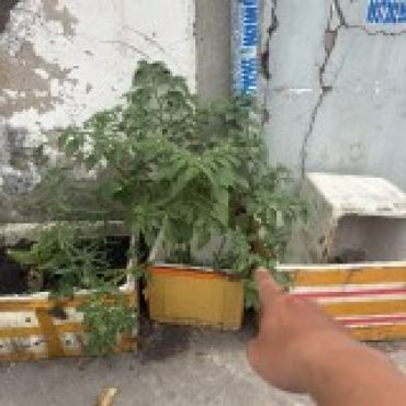 Hình ảnh Bán đất thửa 723 tờ 180 Ngô Chí Quốc Phường Tam Bình Tp Hồ Chí Minh