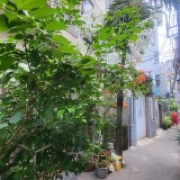 Hình ảnh Bán nhà hẻm 271/12 Hoàng Văn Thụ Phường Phú Nhuận Tp Hồ Chí Minh