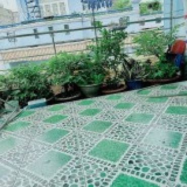 Hình ảnh Bán nhà hẻm 158/21/4A Bùi Minh Trực Phường Chánh Hưng Tp Hồ Chí Minh