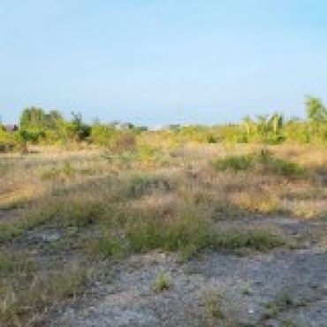 Hình ảnh Bán đất thửa 449 tờ 144 Thửa 9, Hà Quang Vóc Xã Bình Khánh Tp Hồ Chí Minh