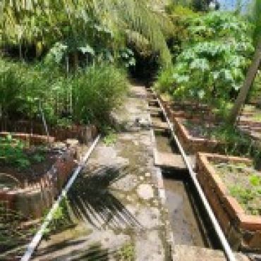 Hình ảnh Bán đất thửa 567 tờ 34 Nguyễn Thị Kiệp Xã Củ Chi Tp Hồ Chí Minh