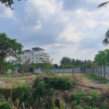 Hình ảnh Bán đất thửa 540 tờ 36 Chuyên gia 1 Phường An Phú Đông Tp Hồ Chí Minh