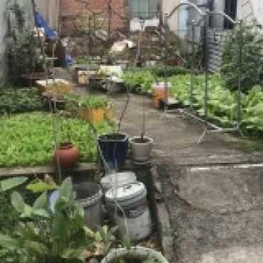 Hình ảnh Bán đất thửa 545 tờ 29 545 tờ 29 Phường Linh Xuân Tp Hồ Chí Minh