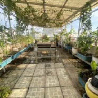 Hình ảnh Bán chung cư Lê Lợi Phường Gò Vấp Tp Hồ Chí Minh