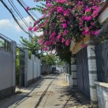 Hình ảnh Bán nhà hẻm 5/1Đ ấp Hưng Lân (Thửa 8 Tờ 189) Xã Bà Điểm Tp Hồ Chí Minh