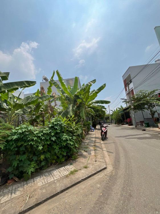 Hình ảnh Bán nhà Mặt tiền 558 Võ Văn Hát, Phường Long Trường