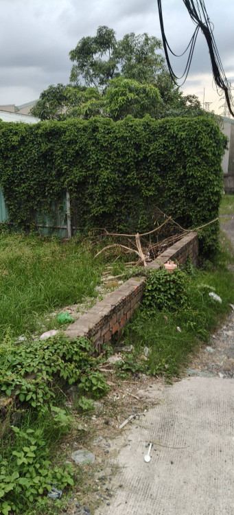Hình ảnh Bán nhà mặt tiền 660 Nguyễn Hữu Trí, Tân Nhựt
