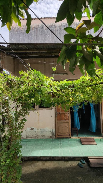 Hình ảnh Bán  nhà số 53/2  Số 16, Phường Long Bình, Thành phố Thủ Đức (cũ)