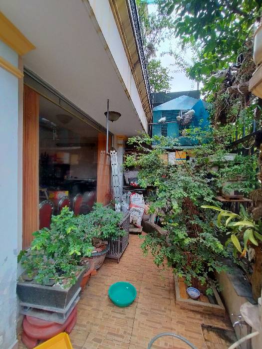 Hình ảnh Bán nhà mặt tiền 52 An Nhơn, phường Gò Vấp