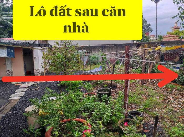 Hình ảnh Bán nhà hẻm 52/4a Mỹ Huề, Bà Điểm