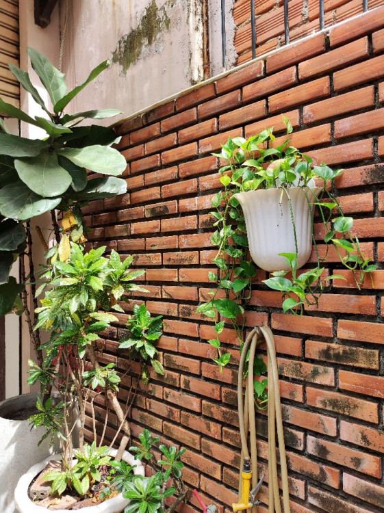 Hình ảnh Bán nhà hẻm 449/92 Sư Vạn Hạnh, phường Hòa Hưng