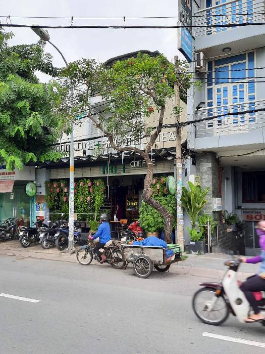 Hình ảnh Bán nhà mặt tiền 519 Tân Sơn, phường An Hội Tây