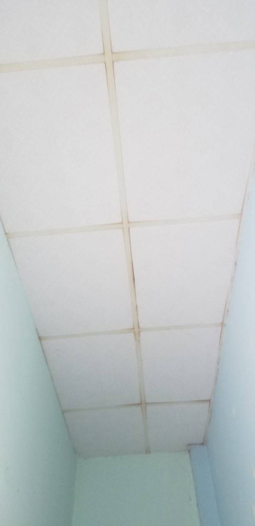 Hình ảnh Bán nhà hẻm 454/51/25 Hậu Giang, phường Phú Lâm