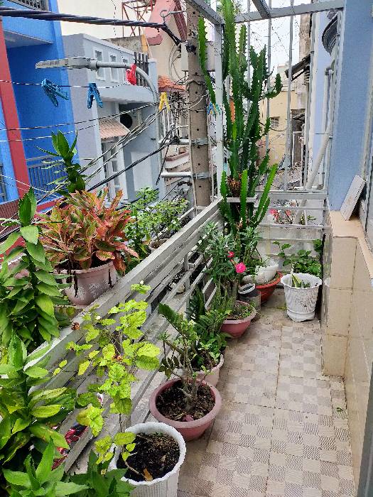 Hình ảnh Bán nhà hẻm 26/15 B3, Phường Tây Thạnh