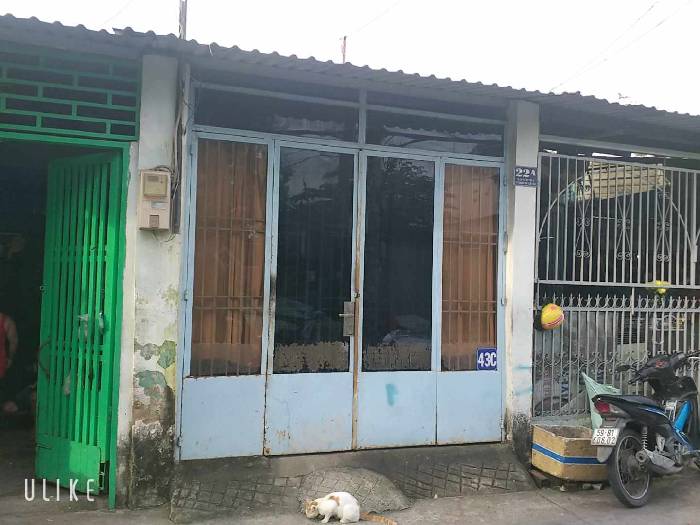 Hình ảnh Bán  nhà số 22a  Số 19, Phường Cát Lái, Thành phố Thủ Đức (cũ)