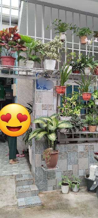 Hình ảnh Bán nhà hẻm 189/27 Đặng Văn Bi, phường Thủ Đức