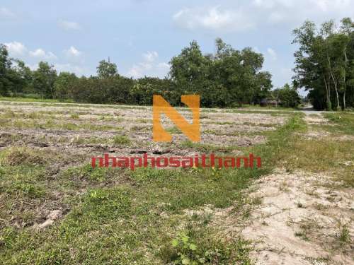 Hình ảnh Bán đất thửa 276 Tờ 12 Đường 528 Xã Nhuận Đức Củ Chi