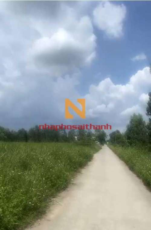 Hình ảnh Bán đất thửa 427 tờ 100 Xã Phạm Văn Hai Huyện Bình Chánh