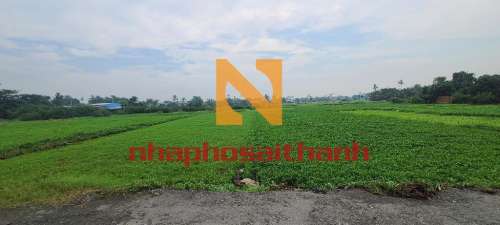 Hình ảnh Bán nhà Thửa 613 tờ 49 Thạnh Xuân 14 Phường Thạnh Xuân Quận 12