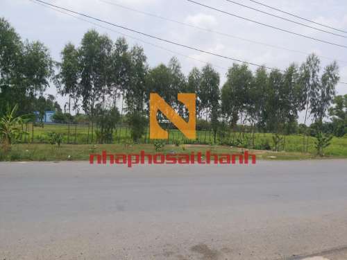 Hình ảnh Bán đất thửa 81 tờ 14 MT Tỉnh Lộ 7 Xã Thái Mỹ Huyện Củ Chi