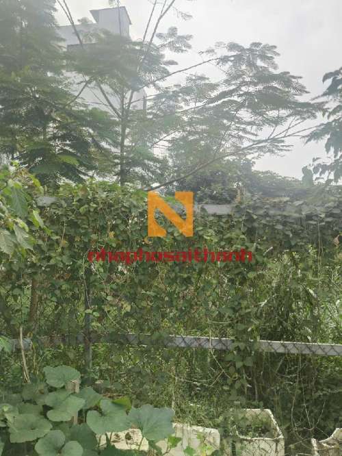Hình ảnh Bán đất thửa 843 tờ 19 Hiệp Thành 17 Phường Hiệp Thành Quận 12