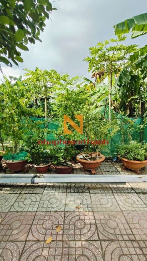 Hình ảnh Bán Thửa 410 tờ 20 Đường 249 phường Tân Phú Quận 9