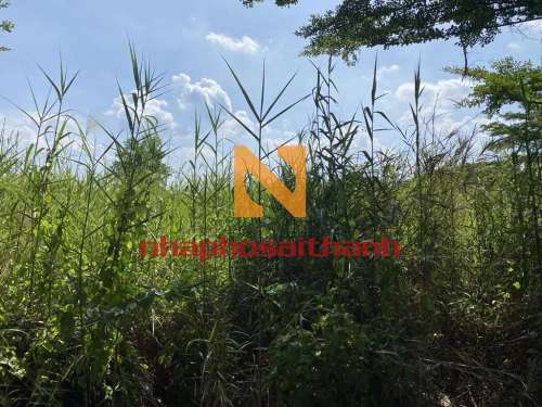 Hình ảnh Bán Thửa 461 Tờ bản đồ số 38 Nhơn Đức, Nhà Bè