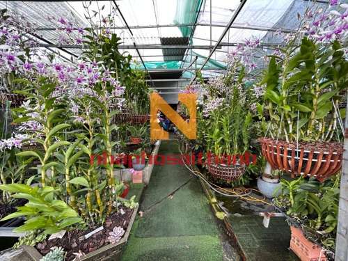 Hình ảnh Bán Thửa đất 521 tờ số 11 (1039 Phạm Văn Đồng), phường Linh Tây, Thủ Đức