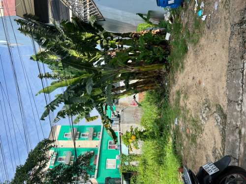 Hình ảnh Bán Kế bên 74/30 (thửa đất số 619, tờ bản đồ số 84), Linh Trung, TP Thủ Đức.