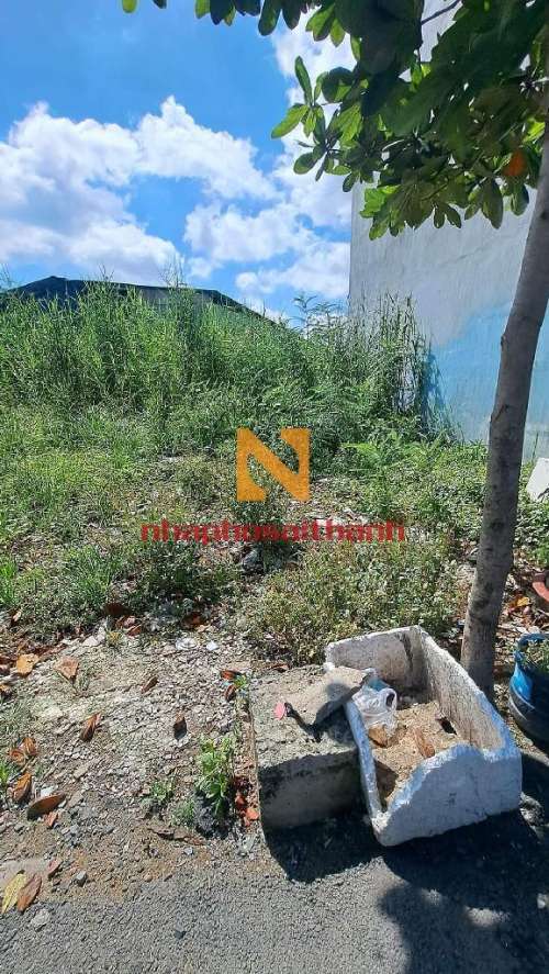 Hình ảnh Bán đất HẺM 620 (ĐÀO SƯ TÍCH) Thửa 621 tờ số 30 Phước Lộc, Nhà Bè.