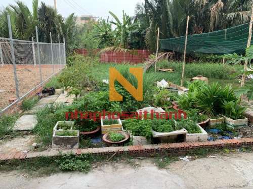 Hình ảnh Bán Thửa 634 tờ 81 (hẻm 2295) Huỳnh tấn Phát Thị trấn Nhà Bè