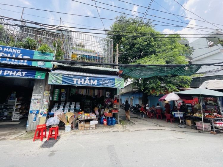 Hình ảnh Bán nhà hẻm 135/25 Phạm Đăng Giảng, Bình Hưng Hòa