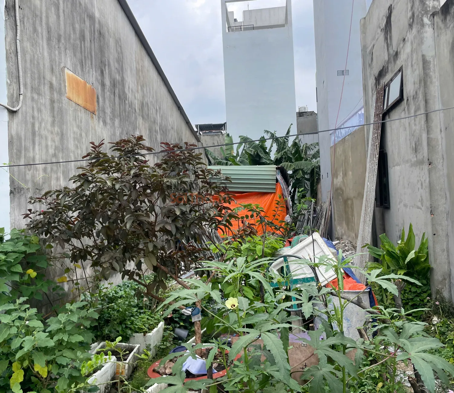 Hình ảnh Đất thổ cư đường 7m thông Tô Ký, ngay Ngã Ba Bầu, 4.6m x 25m nở hậu 5.5m, 5.1 tỷ