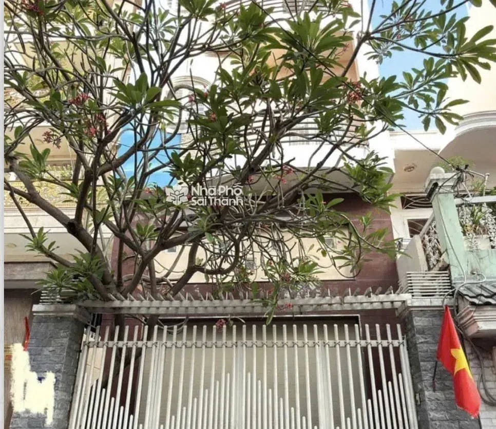 Hình ảnh Bán Nhà Hẻm Xe Hơi 27/51 Nguyễn Đình Khơi, P.4, Tân Bình