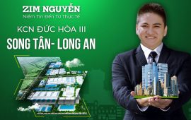 Bán dự án khu công nghiệp Song Tân Đức Hòa III Long An 301 ha