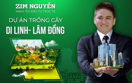 Chuyển Nhượng 216 ha Xã Gia Bắc, huyện Di Linh, Tỉnh Lâm Đồng